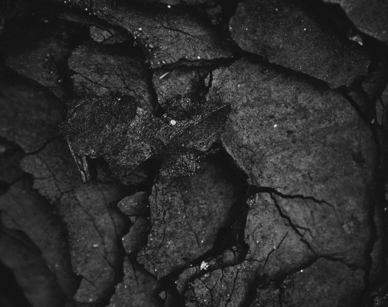 Image of graphite